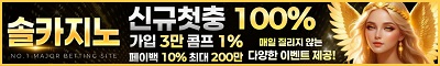 카지노사이트 솔카지노 카지노사이트가이드